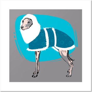 Whippet Dog lover on blue coat Posters and Art